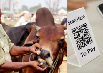 Pay for Qurbani animals with QR code now: SBP