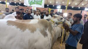 Cattle-market-for-animals-is-hallmark-of-khi-dr-farooq