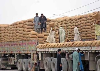 Punjab clarifies no wheat ban