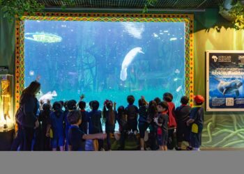national-aquarium-inspiring-rescuer-60k-students-annually