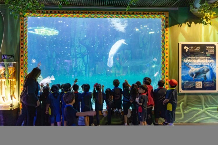 national-aquarium-inspiring-rescuer-60k-students-annually