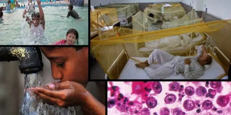 Naegleria risk: NIH's alert you need to know