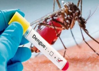 pakistan-stated-2795-dengue-cases-in-the-last-week