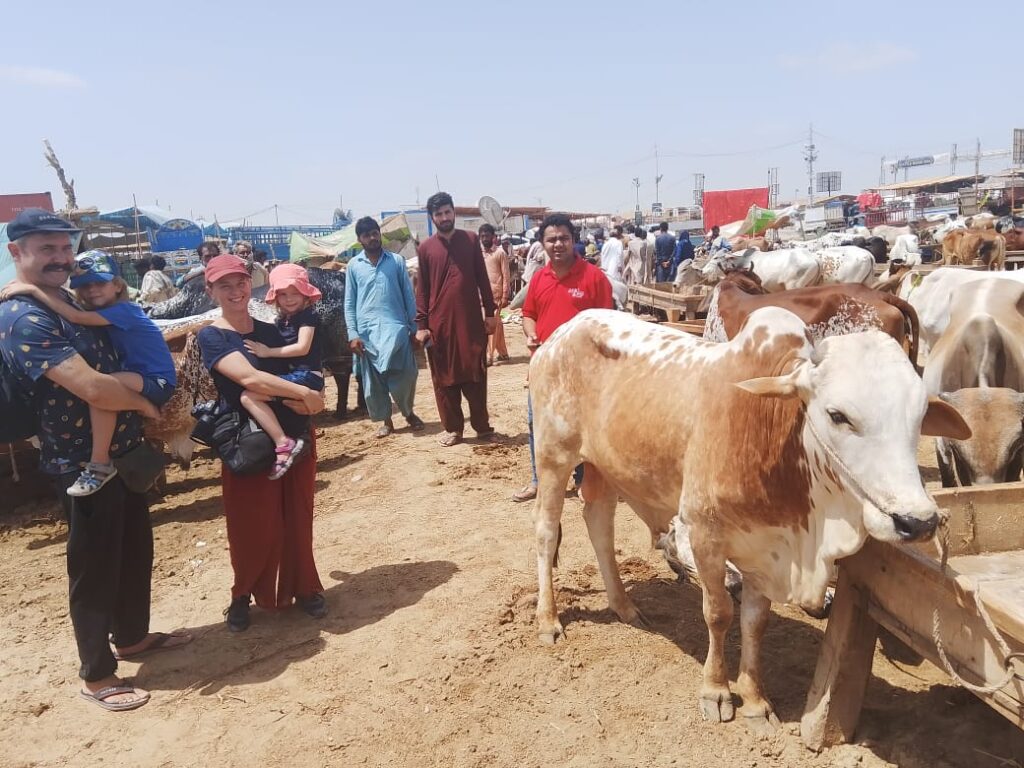 Foreign-tourists-visited-northern-bypass-cattle-market