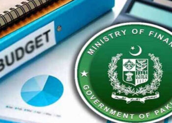 Punjab Budget 2024 - Surprising allocations revealed now