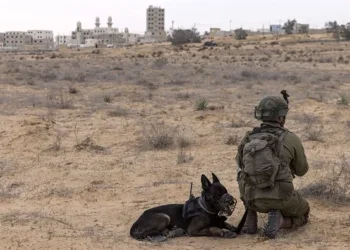 We have had enough now, Israel make dogs rape Palestinians