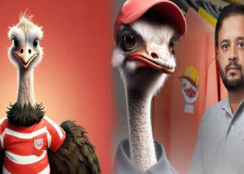 JDC launches a new frontier in men's fashion 'The Ostrich'