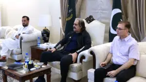 Peshawar to bring new cyber security institute for youth