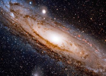 Massive rare black hole discovered in the star cluster