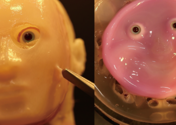 Robots now smile with latest high quality humanoid skin
