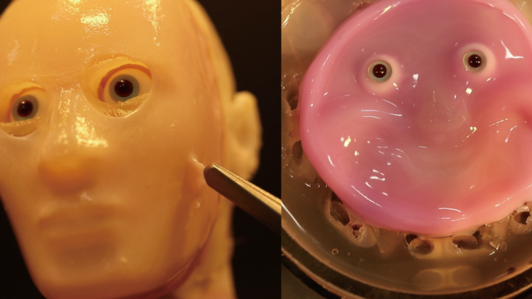 Robots now smile with latest high quality humanoid skin