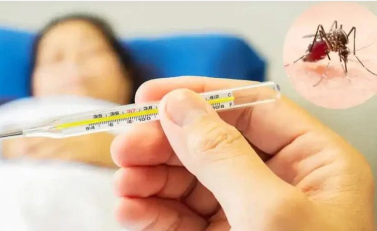 Rains cause Dengue surge, 20 new cases in Punjab