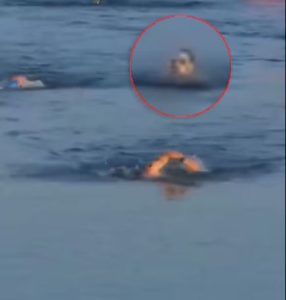 Spaans Notices Lazar Dukic Missing During Livestreamed Swim Event