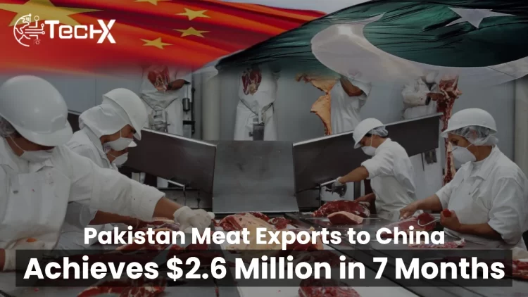 Pakistan Meat Exports to China Achieves $2.6 Million in 7 Months