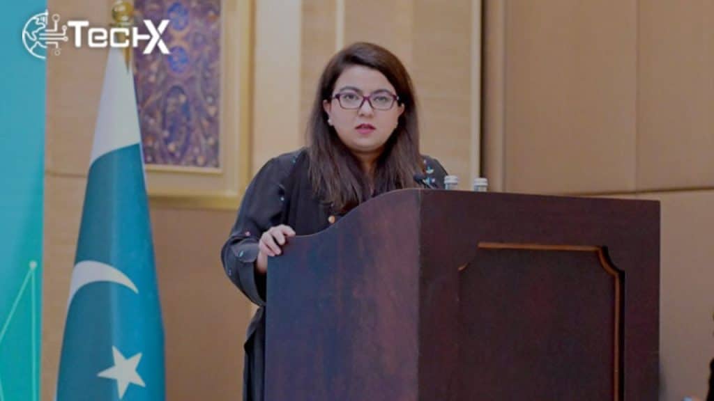 Digital Nation Pakistan Bill 2024 Postponed Despite Consensus