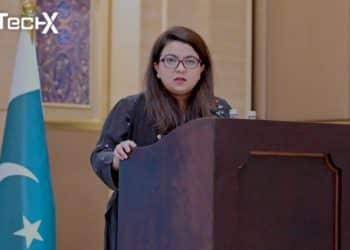 Digital Nation Pakistan Bill 2024 Postponed Despite Consensus