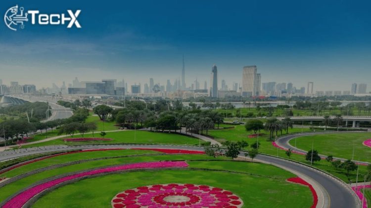 Dubai Ranks as the World's Cleanest City for Fifth Consecutive Year