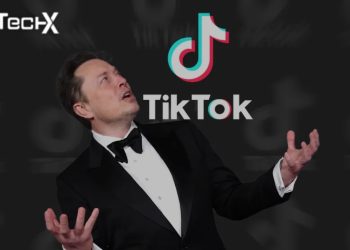 Elon Musk To Takeover TikTok in USA?