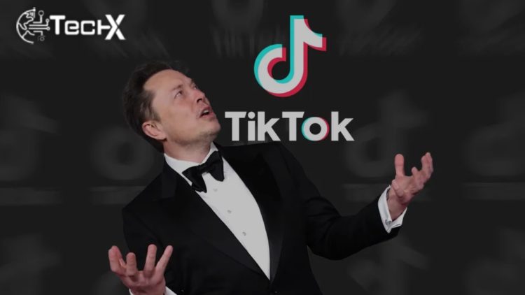 Elon Musk To Takeover TikTok in USA?