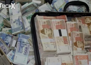 Government Officials Stole Millions From Zakat Funds: Inquiry Committee