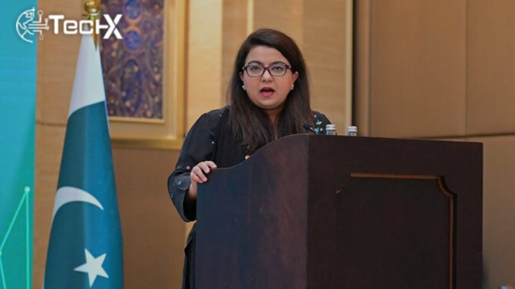 IT Ministry Suspends Implementation of New Digital Pakistan Policy