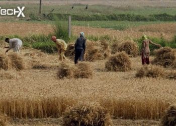 Transition towards market mechanism in Agri sector can salvage national economy