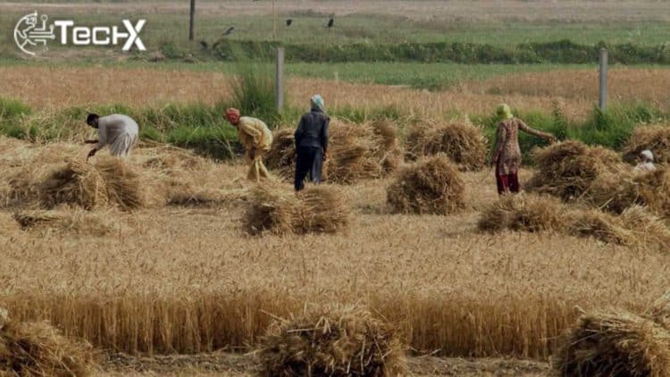 Transition towards market mechanism in Agri sector can salvage national economy
