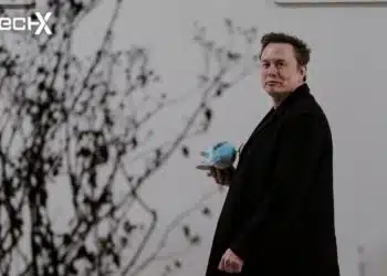 Elon Musk Loses $111 Billion, Still Remains Richest in the World