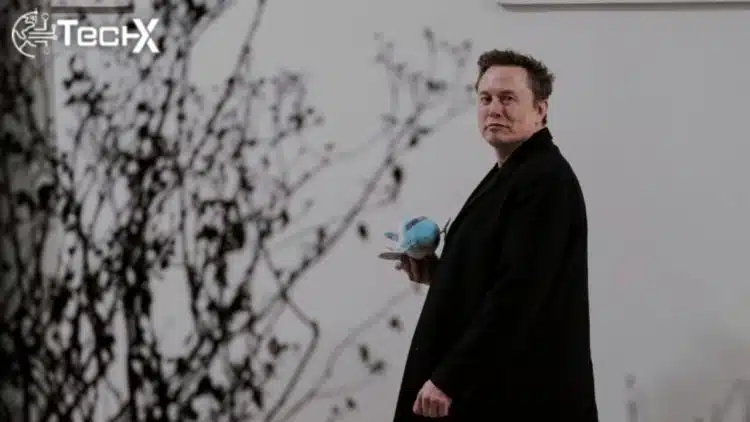 Elon Musk Loses $111 Billion, Still Remains Richest in the World
