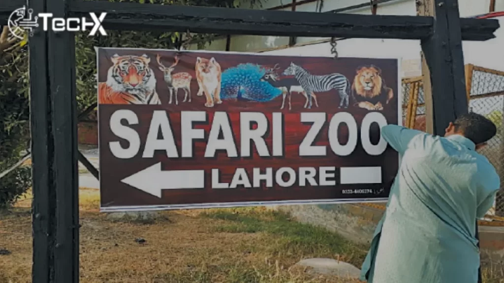 Lahore Safari Zoo Closed for Maintenance This Month