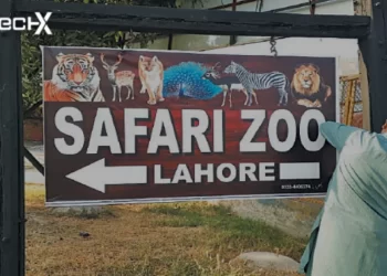 Lahore Safari Zoo Closed for Maintenance This Month