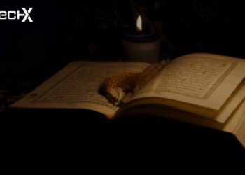 Laylat al-Qadar (لیلة القدر): The Night of Power