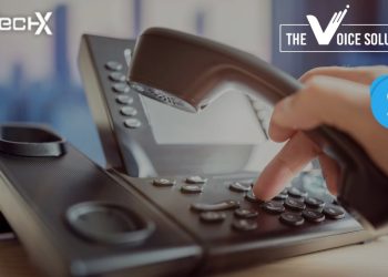 Port Your Skype Number to TheVoiceSolution (TVS) for Seamless Business Communication