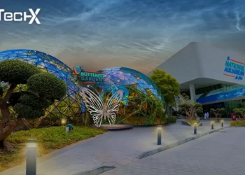 Butterfly Gardens Abu Dhabi: First Immersive Sanctuary