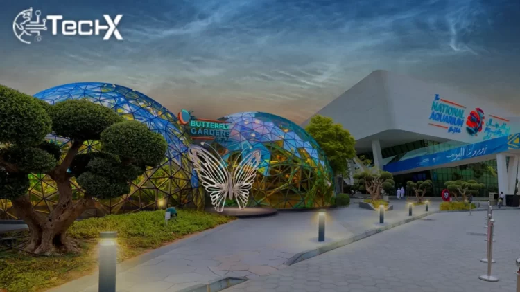 Butterfly Gardens Abu Dhabi: First Immersive Sanctuary