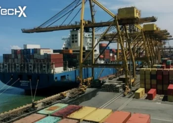 Container Blockade At Ports Cause Up to Rs. 100 Million in Demurrage Losses