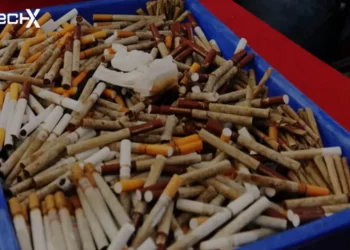 Illicit Cigarette Trade Draining Billions of Rupees Annually Due to Weak Enforcement