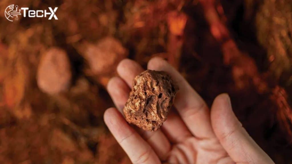 NRL Discovers Significant Copper-Gold Mineralization in Chagai, Balochistan