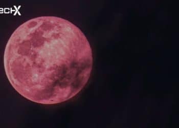 Pink Moon 2025: Will It Be Visible in Pakistan