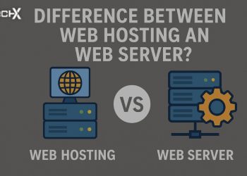 Difference Between Web Hosting and Web Server