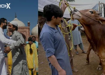 Government announces four-day public holidays for Eid ul Adha