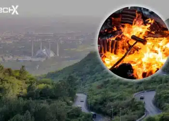 Ban Imposed on Barbecues, Bonfires After Fire Breaks Out in Margalla Hills