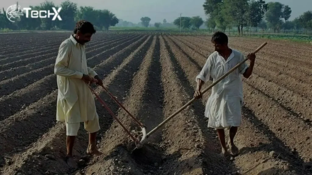 Govt Launches Digital Loans for Farmers in Pakistan