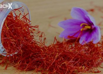 Saffron Benefits for Diabetes: How It Supports Blood Sugar Control