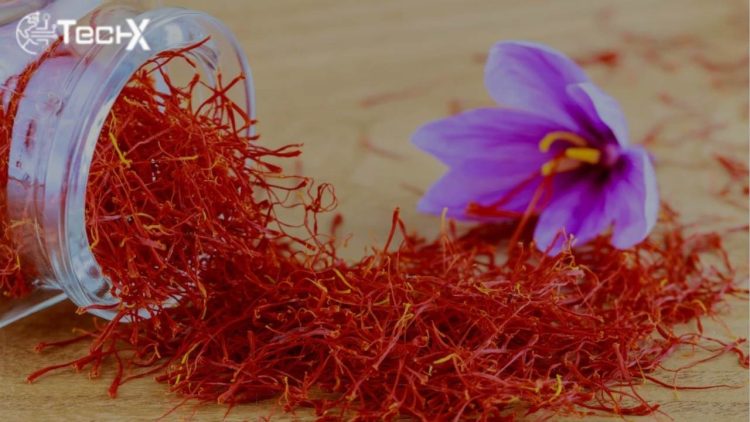 Saffron Benefits for Diabetes: How It Supports Blood Sugar Control