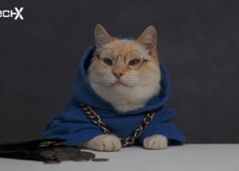 The Future of Image Editing: What’s Next After Background Removal?