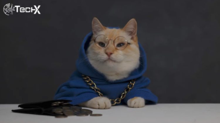 The Future of Image Editing: What’s Next After Background Removal?