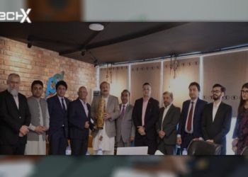 Govt Keen to Facilitate Overseas Pakistanis in Gulf Countries via PayPak: Rana Mashhood