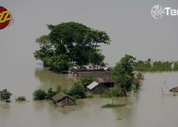 Connectivity Lifeline: Jazz Enables Free Calls To All Networks & PTCL in Punjab's Flood-Affected Areas