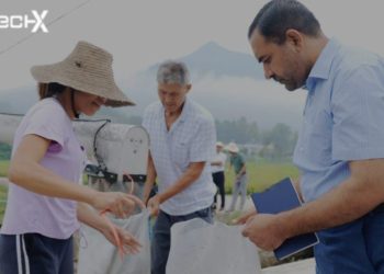 Pakistani-Chinese Scientists Develop Hybrid Rice Seed Tripling Yields